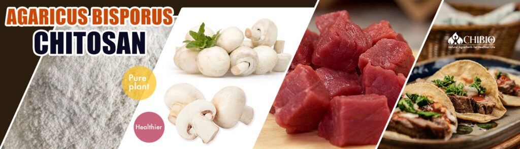 Organic Mushroom Chitosan - Vegetal Chitosan Manufacturer
