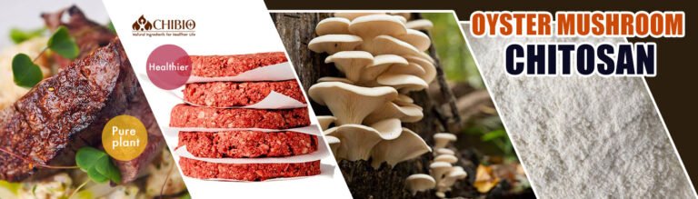 Organic Mushroom Chitosan - Vegetal Chitosan Manufacturer
