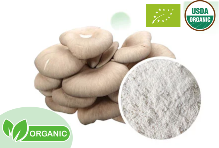 Vegetal Chitosan Manufacturer
